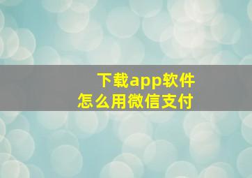 下载app软件怎么用微信支付