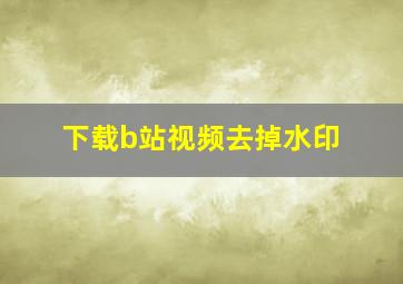 下载b站视频去掉水印