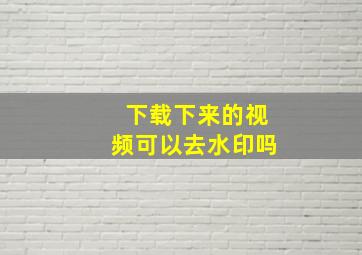 下载下来的视频可以去水印吗