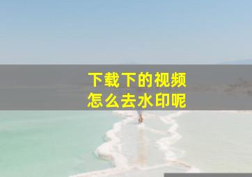 下载下的视频怎么去水印呢