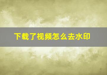 下载了视频怎么去水印