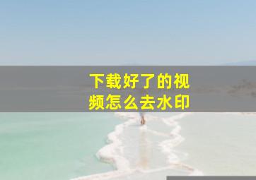 下载好了的视频怎么去水印