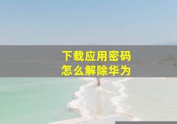 下载应用密码怎么解除华为