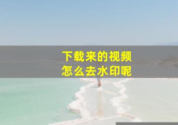 下载来的视频怎么去水印呢