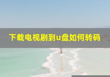 下载电视剧到u盘如何转码