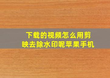 下载的视频怎么用剪映去除水印呢苹果手机