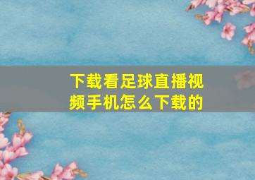 下载看足球直播视频手机怎么下载的