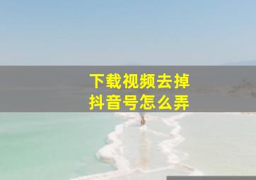 下载视频去掉抖音号怎么弄