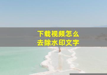 下载视频怎么去除水印文字