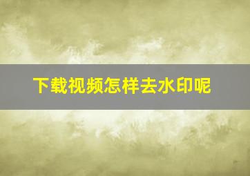 下载视频怎样去水印呢