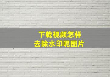 下载视频怎样去除水印呢图片