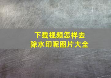 下载视频怎样去除水印呢图片大全