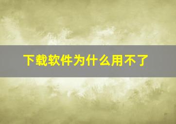 下载软件为什么用不了