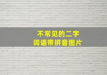 不常见的二字词语带拼音图片