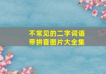 不常见的二字词语带拼音图片大全集