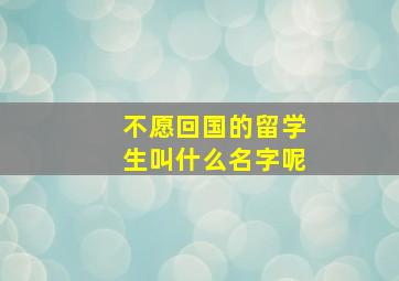 不愿回国的留学生叫什么名字呢