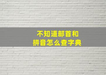 不知道部首和拼音怎么查字典