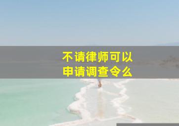 不请律师可以申请调查令么