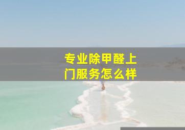 专业除甲醛上门服务怎么样