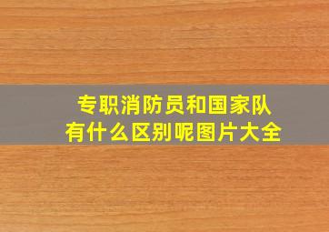 专职消防员和国家队有什么区别呢图片大全