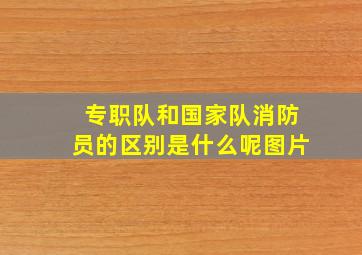 专职队和国家队消防员的区别是什么呢图片