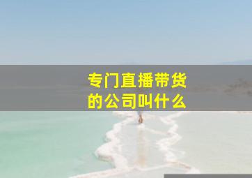 专门直播带货的公司叫什么