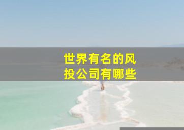 世界有名的风投公司有哪些