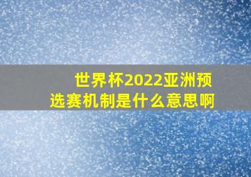 世界杯2022亚洲预选赛机制是什么意思啊