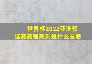 世界杯2022亚洲预选赛赛程规则是什么意思