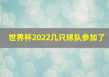 世界杯2022几只球队参加了