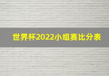 世界杯2022小组赛比分表