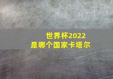 世界杯2022是哪个国家卡塔尔