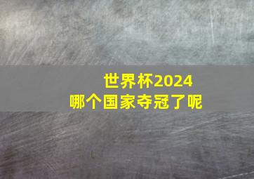 世界杯2024哪个国家夺冠了呢