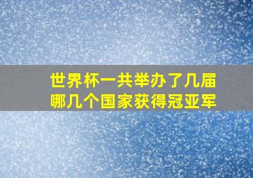 世界杯一共举办了几届哪几个国家获得冠亚军