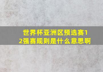 世界杯亚洲区预选赛12强赛规则是什么意思啊