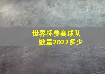 世界杯参赛球队数量2022多少