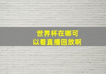 世界杯在哪可以看直播回放啊