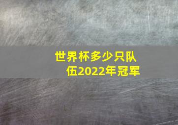 世界杯多少只队伍2022年冠军