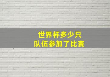 世界杯多少只队伍参加了比赛