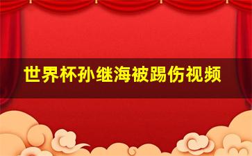 世界杯孙继海被踢伤视频