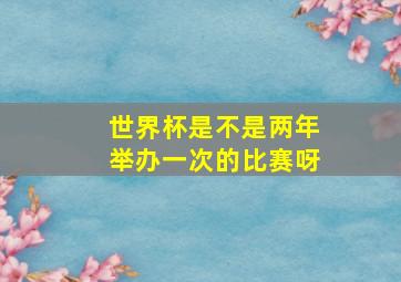 世界杯是不是两年举办一次的比赛呀