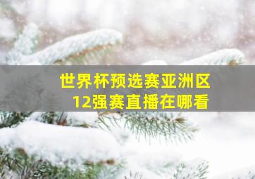 世界杯预选赛亚洲区12强赛直播在哪看