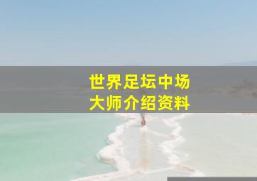 世界足坛中场大师介绍资料