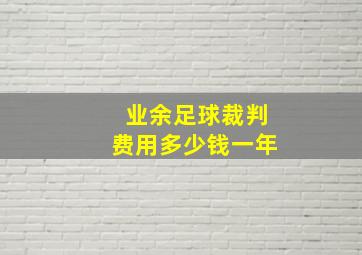 业余足球裁判费用多少钱一年