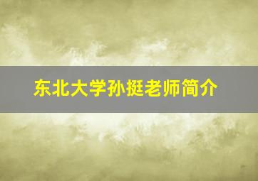 东北大学孙挺老师简介