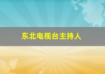 东北电视台主持人