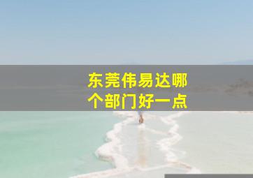 东莞伟易达哪个部门好一点