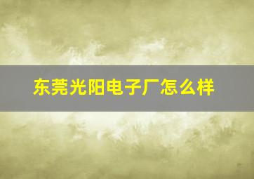 东莞光阳电子厂怎么样