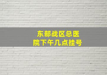 东部战区总医院下午几点挂号