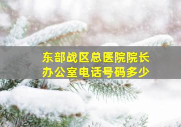 东部战区总医院院长办公室电话号码多少